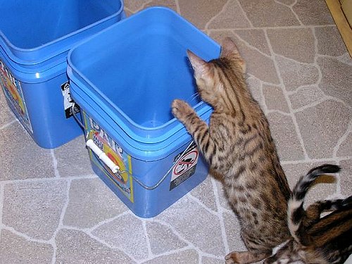 Lancelot Hmmm whats this